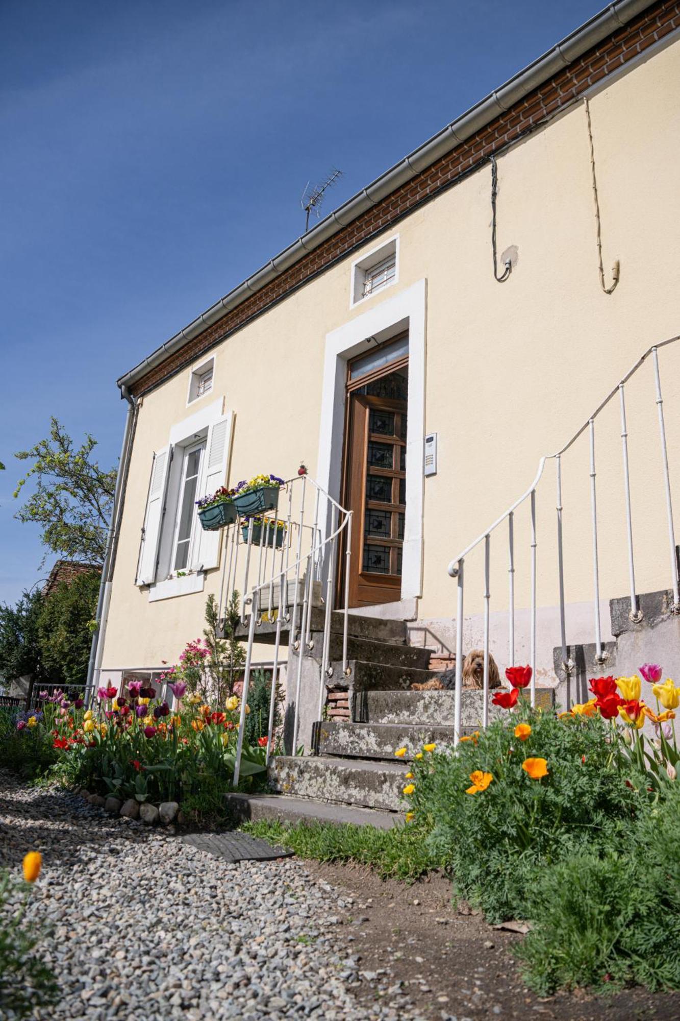 La Belle Rive Du Voyageur Lägenhet Bellerive-sur-Allier Exteriör bild